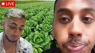 Somali Memes, Meltdown & Trouble in Thailand (LIVE)