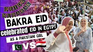 Eid_ul_Adha special vlog in Egypt as a Pakistani | pardesio ki عید  |VLoG SeRies