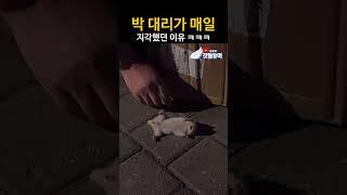 겪어 본 사람만이 아는 이 고통..ㅋㅋㅋㅋㅋ