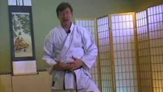 BEGINNER'S GUIDE TO KARATE