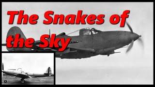 The American Fighter the Soviets Loved | Bell P-39 Airacobra | History in the Dark