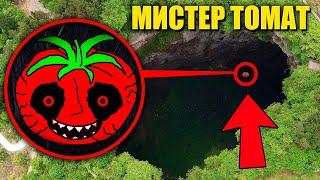 зря мы нашли МИСТЕРА ПОМИДОРА он очень голодный! **Mr. Tomatos В реальной жизни**