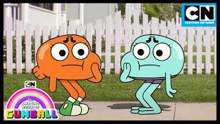 Who's The Real Darwin? | Gumball | Cartoon Network