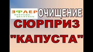 О37 - сюрприз "КАПУСТА". Листочки ОЧИЩЕНИЯ. Очистительный Криз или Голод?