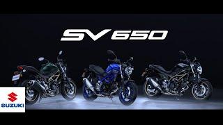 Color Lineup | 2025 SV650 |  Suzuki