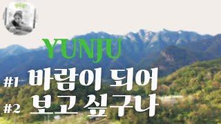 가수윤주 - 바람이되어 & 보고싶구나사랑하는 사람을 떠나 보내고 가슴에 묻은 사랑..위로 받고 힘을 주는 노래. YUNJU - Become The Wind , I Miss You