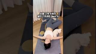 눈물나게 시원한 골반스트레칭 4동작 #홈필라테스 #골반스트레칭