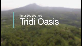 Circulate Capital Investment Portfolio Spotlight: Tridi Oasis