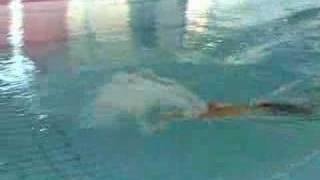 Total Immersion Butterfly Demo by Shinji Takeuchi