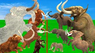 Woolly Mammoth vs Mastodon - Who Would Have Won a Fight? Prehistoric Mammals VS Prehistoric Animals