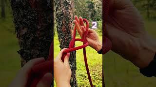 Bowline Knot - İzbarço Düğümü (Yay Düğümü)