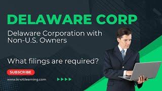 Delaware Corporation Owned by a Non-U.S. Person