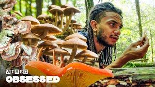 How This Mushroom Savant Identifies Fungi | Obsessed | WIRED