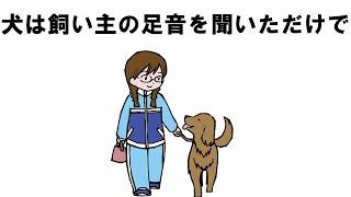 犬の飼い主に対する可愛い愛情の雑学