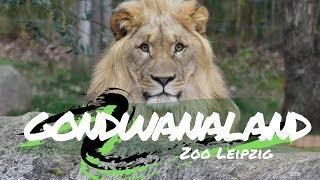 Leipziger Zoo und das beeindruckende Gondwanaland