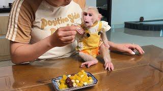 Mom Cooks Special Meal take care of Monkey Luk After Recovers From Illness