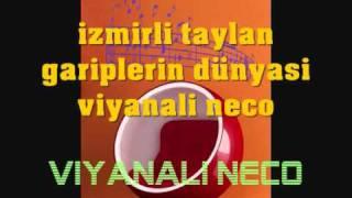 izmirli taylan gariplerin dünyasi 2011 viyanali neco