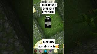 THIS MINECRAFT PANDA WILL CURE YOUR DEPRESSION  #shorts