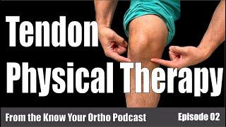 PHYSICAL THERAPY treatment for tendinopathy.