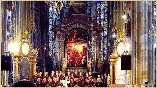 WIEN, STEPHANSDOM: Gospel-Abend, "The Longfield Gospel Workshop"