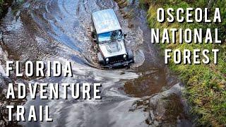 Wet and Muddy on the Florida Adventure Trail | Osceola National Forest Overland by Jeep