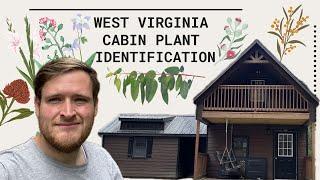 WV Cabin Plant Identification
