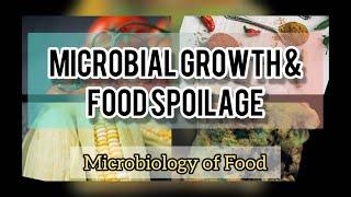 MICROBIAL GROWTH & FOOD SPOILAGE | FOOD MICROBIOLOGY | BIOLOGY UNIVERSITY