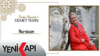 Demet Tekin - Nerdesin (Official audio )