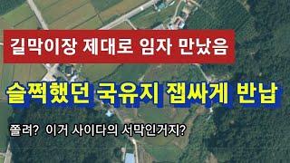 불도저맨 등장! 길막과 공무원이 벌집을 건드렸어요. 진짜가 나타났다!