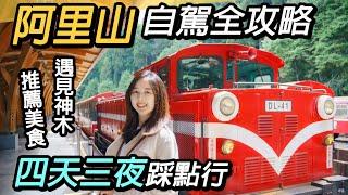 嘉義阿里山自駕全攻略｜四天三夜必遊景點美食推薦｜阿里山國家森林遊樂區、奮起湖、隙頂二延平、優遊吧斯、1314景觀台、太平雲梯 Alishan National Taiwan Travel