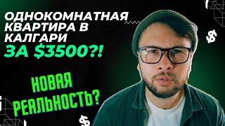 Как найти жилье в Калгари в 2024? Смотрим квартиры и цены