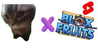 Blox fruits ️ Cat Memes shorts compilation #bloxfruts #bloxfruit #shorts