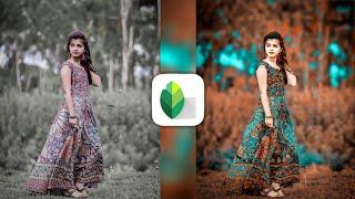 Snapseed Aqua and brown Colour photo editing  | Lightroom Dual Colour photo editing tutorial