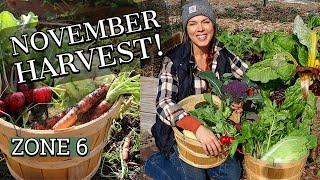 Late Fall Vegetable Garden Harvest: Zone 6, Ohio