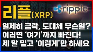 [리플 전망][엑스알피 코인] 제 말 믿으세요! 지금 하락하는 이유라면 제가 장담하건대 '여기'까지 폭락한 다음에 반등 나올겁니다. 정신 바짝 차리고 무조건 '이렇게' 하세요