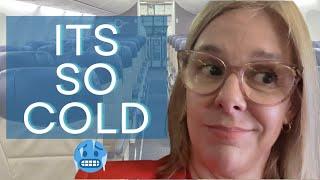 Downgraded Flight * Birthday Videos * Flight Attendant Life