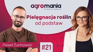 Wszystko, co musisz wiedzieć o glebie | AGROMANIA | Magda Urbaniak