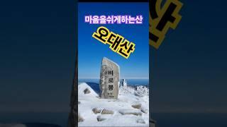 마음을 쉬게 하는산 오대산!/대한민국100대명산 5번째이야기 #오대산국립공원 #비로봉  #동대산 #호령봉 # 상왕봉 #두로봉 #월정사#상원사 #오대산 #강원도평창 #강원도 #평창