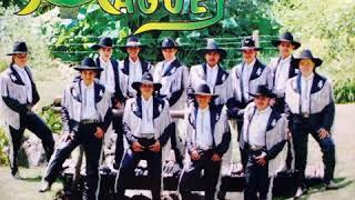 Banda Maguey - el Alacran tumbando caña