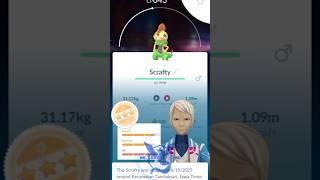 POGO•Shiny Scrafty 
