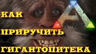 ARK: Как приручить гигантопитека одному (Gigantopithecus)