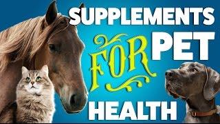 Essential Vitamins And Minerals For HEALTHY PETS!