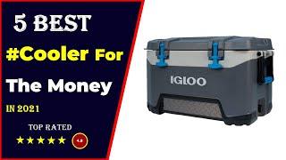  Top 5: Best Cooler For The Money 2024 [Tested & Reviewed]