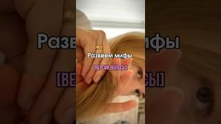 1л Шампуня и 1л кондиционер арт 246438624 [WB] #волосы #бессульфатныйсостав #мифыоволосах РП