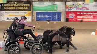 Fahrturnier Ibbenbüren 9.3.2025 (Sicon Cup)