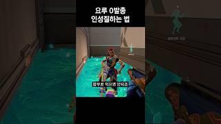 요루 0발총 인성질 따라잡는 법 강의