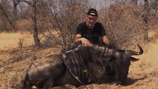 Wilderbeest bull with a longbow - Tales From the Willows - Sofala Safaris - Traditional Bowhunting