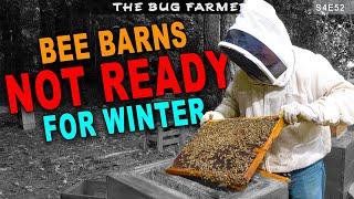 Bee Barns in Trouble | Find the Wax Moth  #beekeeping #bees #bugfarmer