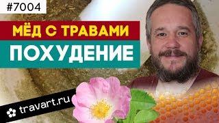 Мед с травами. Похудение. Траварт #7004 Сбор трав. Животворец  Андрей Протопопов