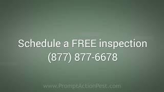 Prompt Action Pest Control (877) 877-6678